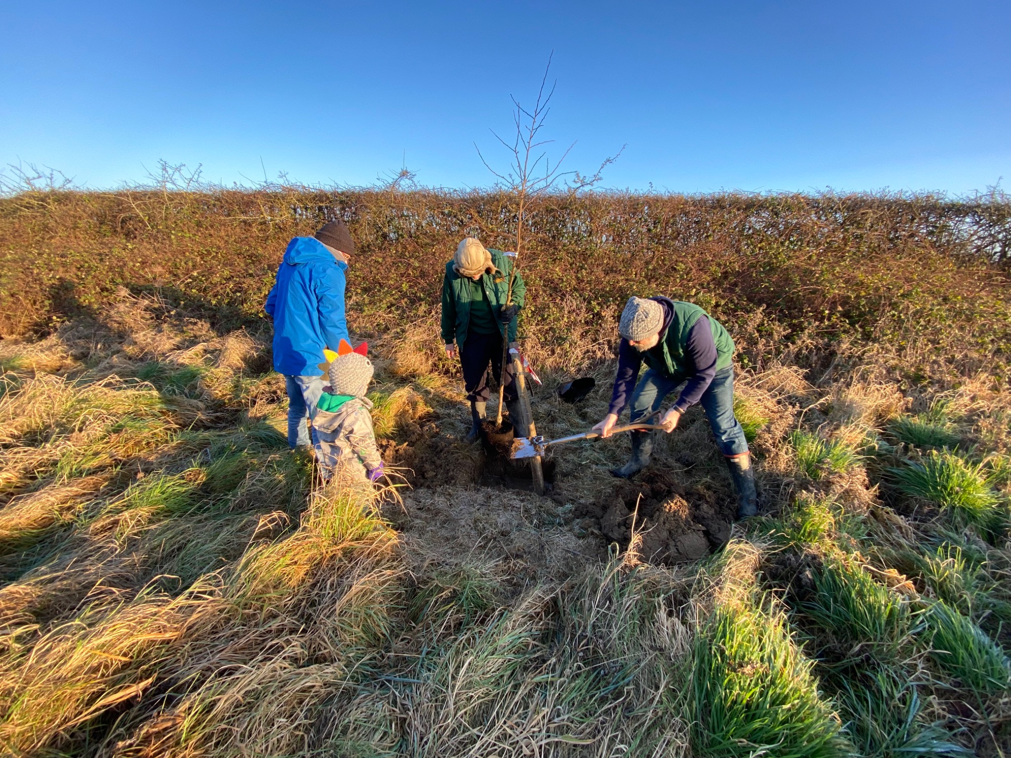 Tree planting at Foal Hurst Wood funded through Barsleys carrier bag charges
